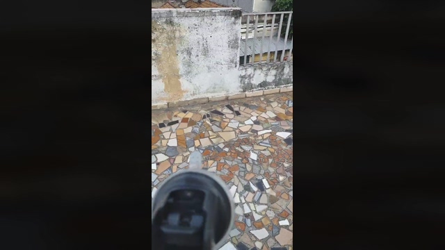 Barbedo423  07-04-2022